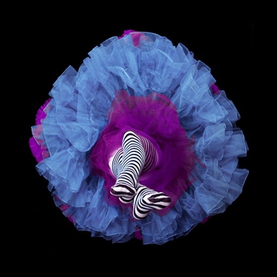 Фотопроект «Кринолиновые цветы» фотосессия в костюмах Daryl Banks